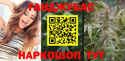 амф Кингисепп