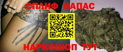 амф Кингисепп