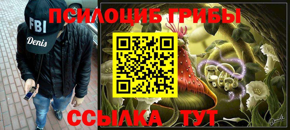 Кудрово  где купить наркоту  Вход с VPN  Галлюциногенные грибы Magic Shrooms 
