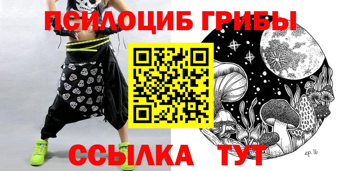 Псилоцибиновые грибы Cubensis Кудрово